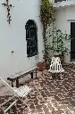 Patio 1