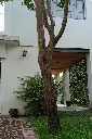 Patio verde