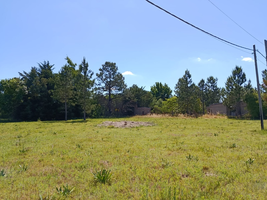 V-1002 - Rincón km 10 1/2 - Terreno